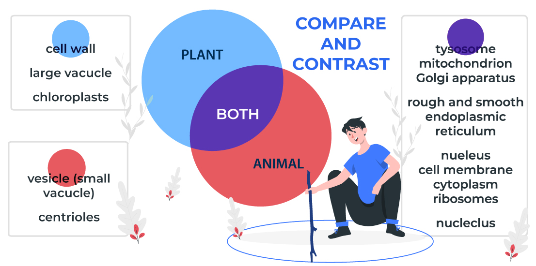 funny venn diagrams
