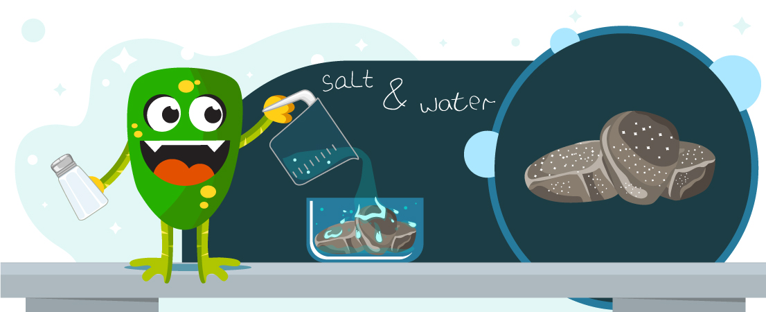science projects at home