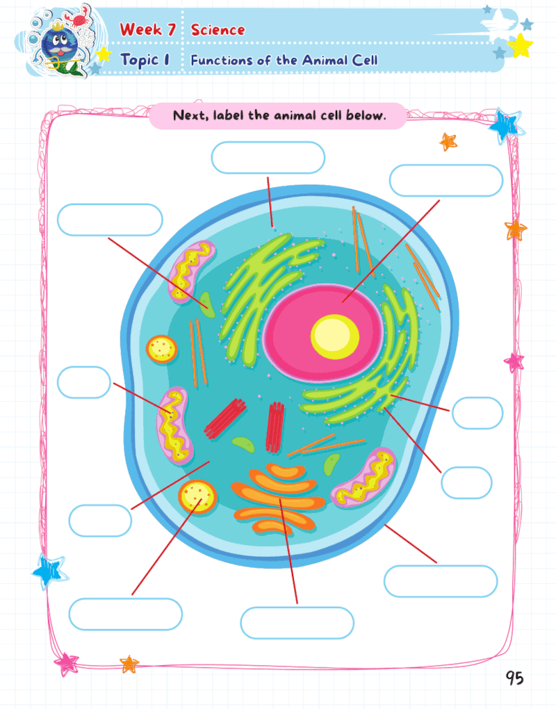 Summer Activity Playground Grade 7-8
