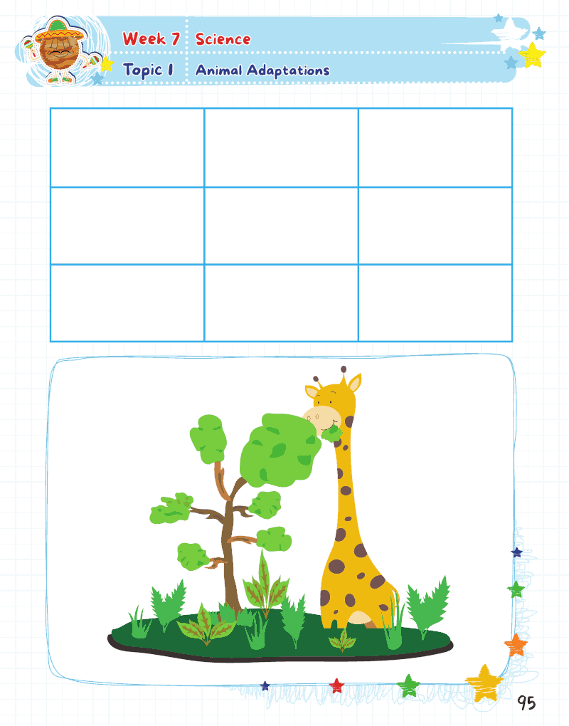 Summer Activity Playground Grade 1-2