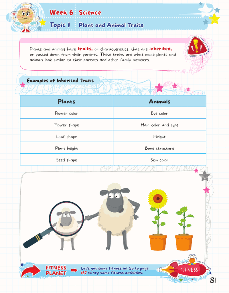 Summer Activity Playground Grade 2-3