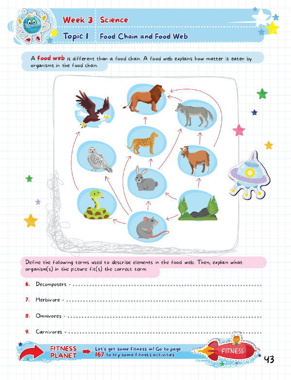 Summer Activity Playground Grade 6-7