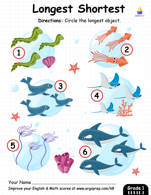 Measuring Ocean Giants