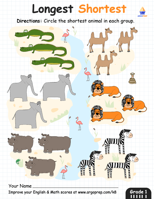 Sort the Animals