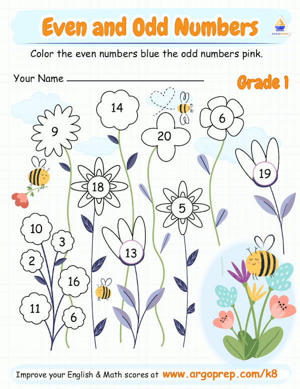 Color the Flowers Even and Odd