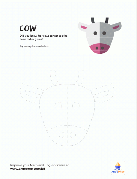 Cow Tracing