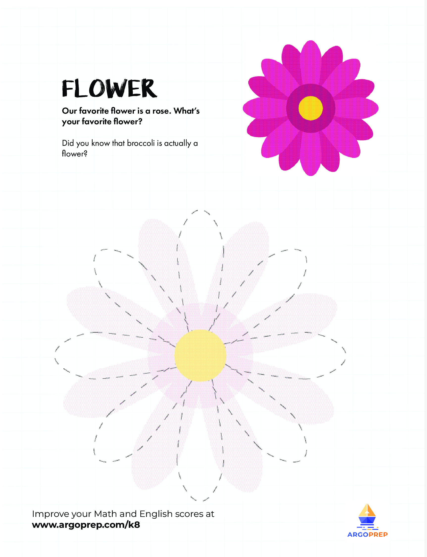 Flower Tracing