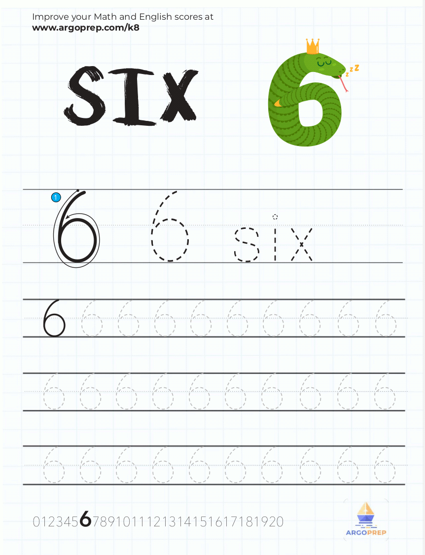 Trace Number 6