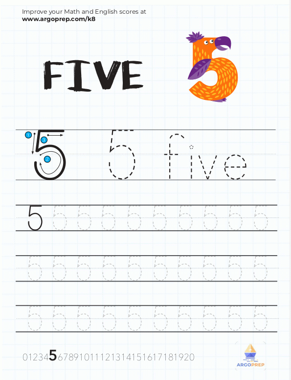 Trace Number 5