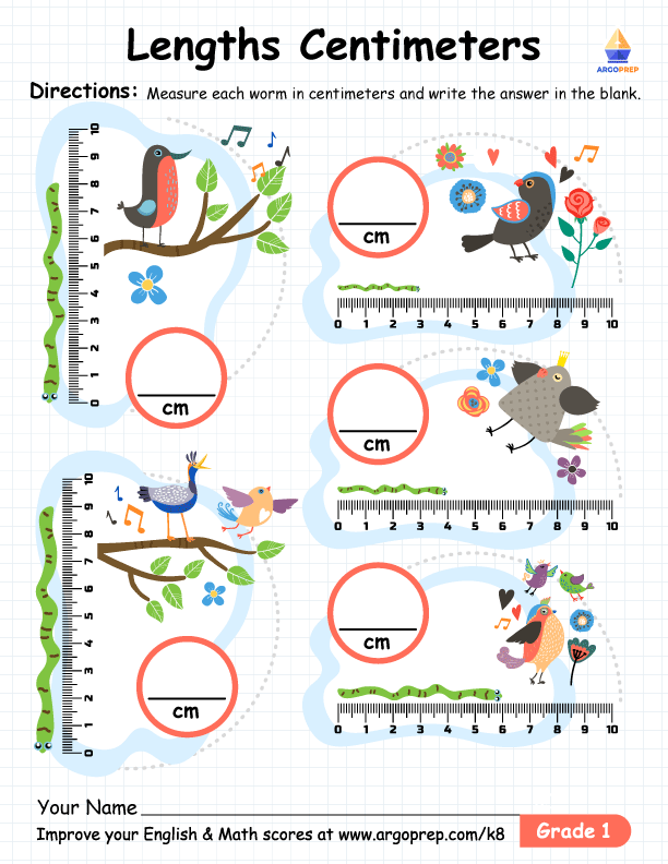 Lengths Centimeters_5
